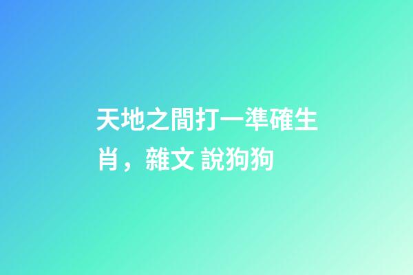 天地之間打一準確生肖，雜文 說狗狗